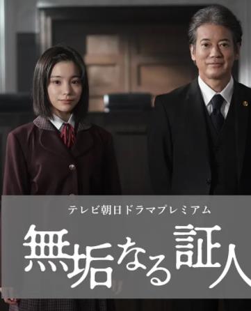 无垢的证人海报