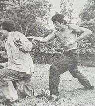 铁指唐手海报