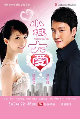 小城大爱2009海报