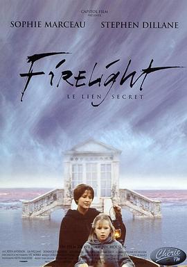 心火(1997)海报
