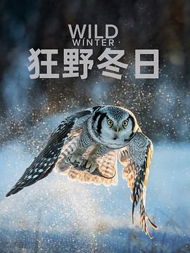 狂野冬日第一季海报