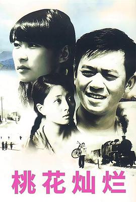 桃花灿烂(2007)海报