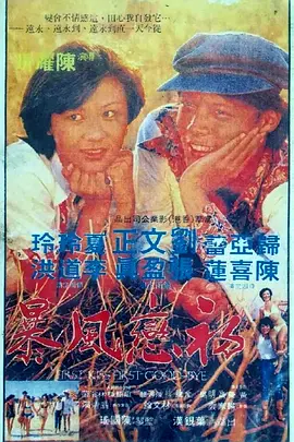 初恋风暴1978海报
