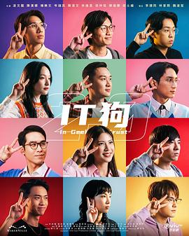 IT狗2.0粤语海报