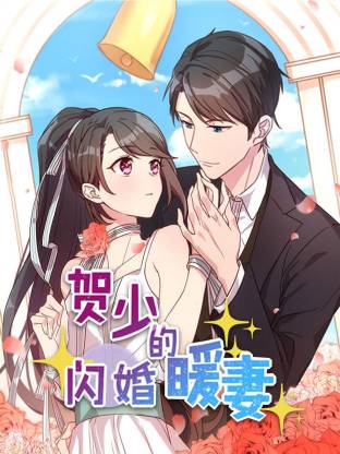 贺少的闪婚暖妻海报