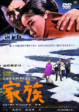 家族1970海报
