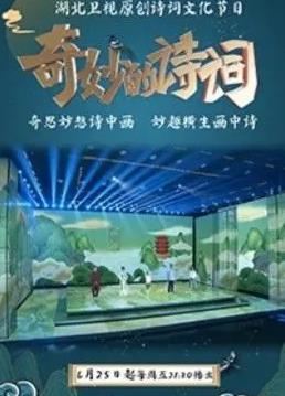 奇妙的诗词第二季海报