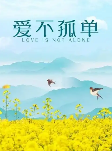 让爱不孤单海报