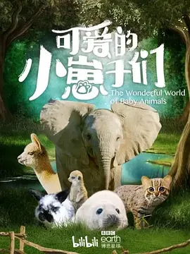 可爱的小崽子们海报