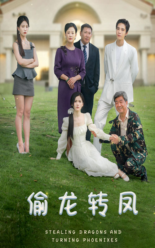 偷龙转凤 短剧版海报