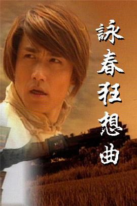 咏春狂想曲粤语海报