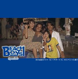 沙滩男孩 特别篇海报