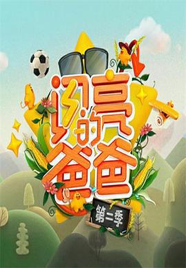 闪亮的爸爸第二季海报