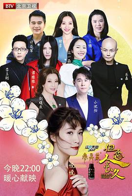 但愿人长久第一季海报
