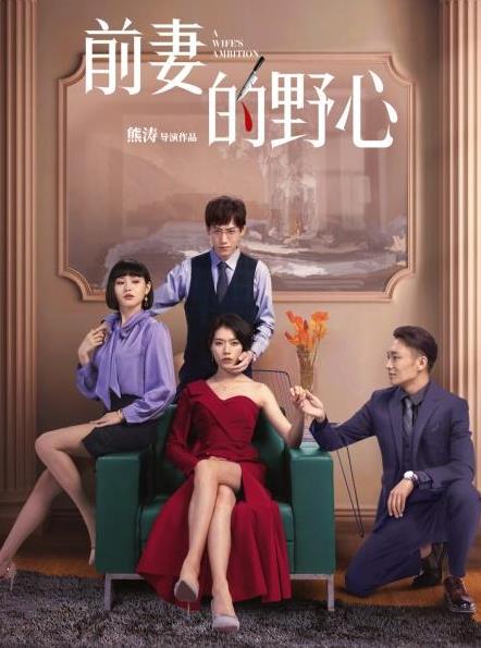 前妻的野心海报
