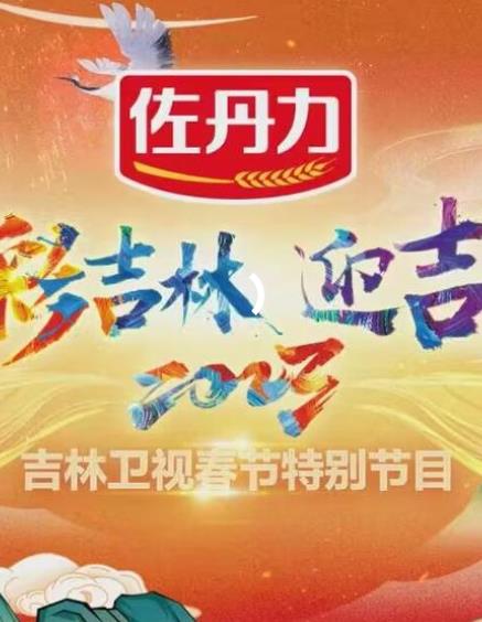 吉林卫视小年晚会海报