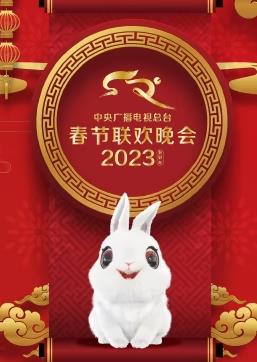 中央广播电视总台春节联欢春晚海报