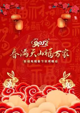 年新疆电视春节联欢晚会海报