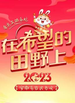 安徽农民春晚海报