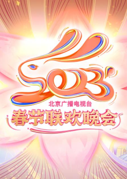 年北京卫视春节联欢晚会海报