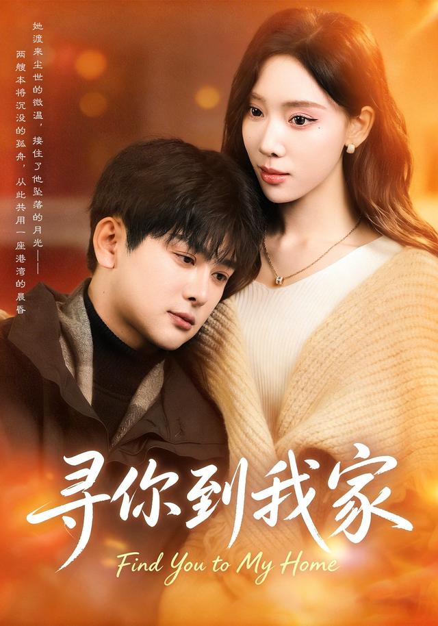 寻你到我家海报