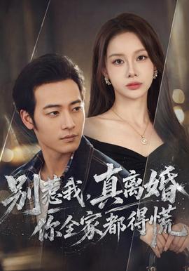 别惹我，真离婚你全家都得慌海报