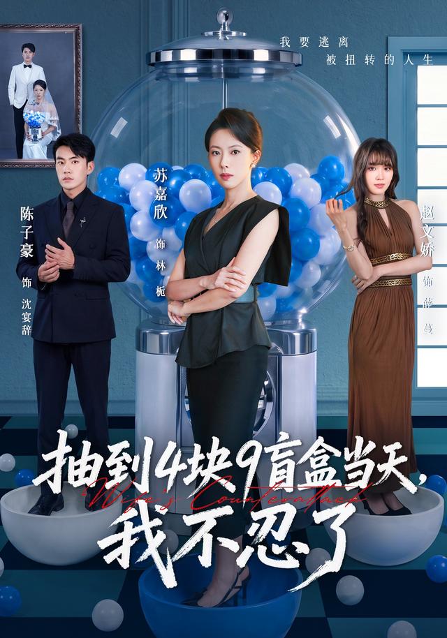 抽到4块9盲盒当天，我不忍了海报
