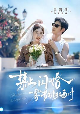 禁止闪婚，雾散归栖时海报