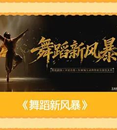 舞蹈新风暴海报