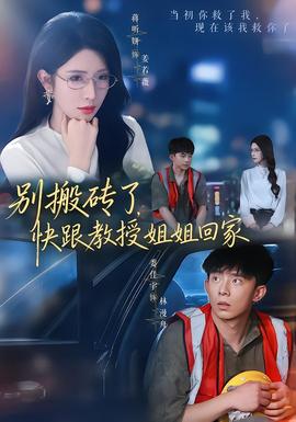 别搬砖了，快跟教授姐姐回家海报