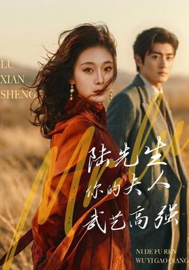 陆先生，你的夫人武艺高强海报