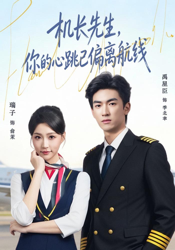 机长先生，你的心跳已偏离航线海报