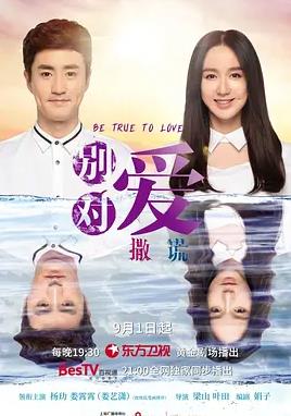 请对我说谎海报