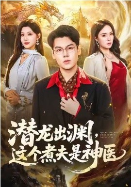 潜龙出渊，这个煮夫是神医海报