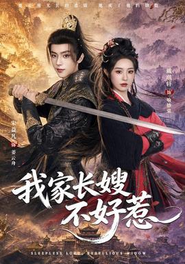 我家长嫂不好惹海报