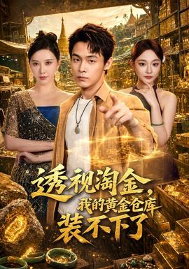 透视淘金，我的黄金仓库装不下了海报