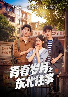 青春岁月之东北往事海报