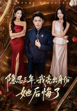 隐忍三年，我亮出身份她后悔了海报