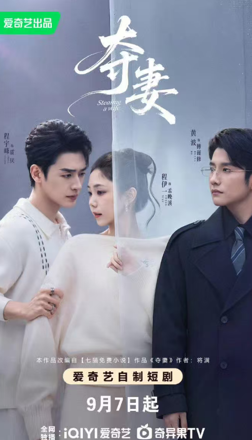 夺妻海报