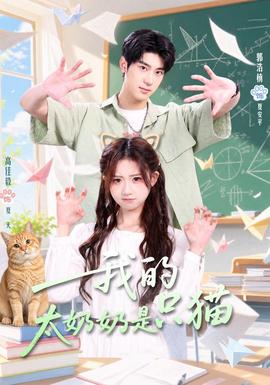 我的太奶奶是只猫海报