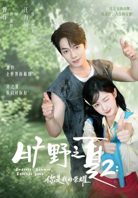 旷野之下2：你是我的荣耀海报