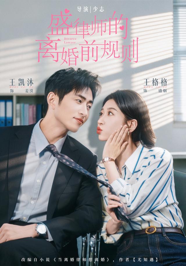 盛律师的离婚前规则海报