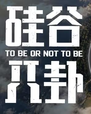 硅谷八卦海报