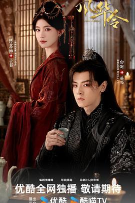 风华令枪版海报
