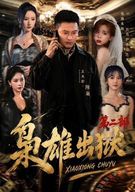 枭雄出狱第二部海报