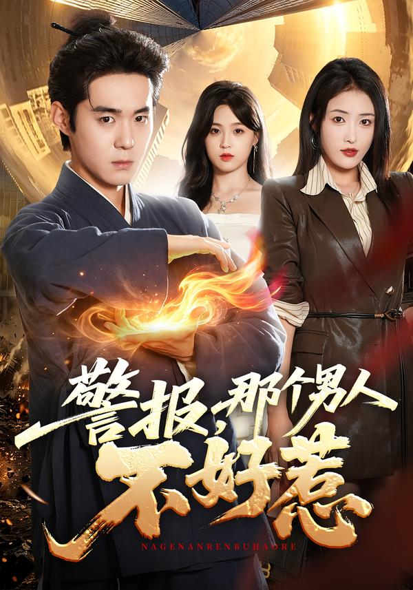 警报，那个男人不好惹海报