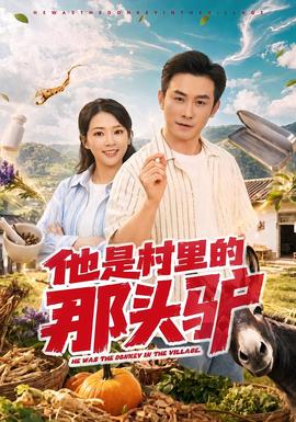 他是村里的那头驴海报