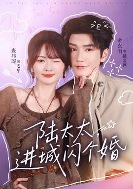 陆太太，进城闪个婚海报
