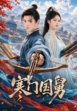 寒门国舅海报