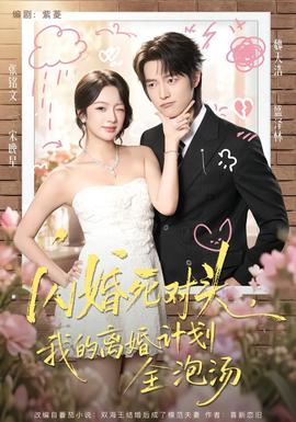 闪婚死对头，我的离婚计划全泡汤海报